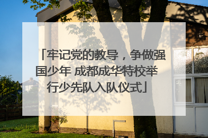 牢记党的教导，争做强国少年 成都成华特校举行少先队入队仪式