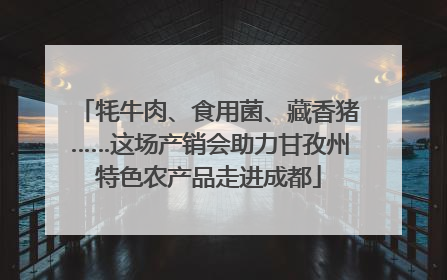 牦牛肉、食用菌、藏香猪……这场产销会助力甘孜州特色农产品走进成都