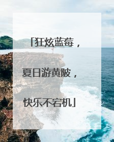 狂炫蓝莓，夏日游黄陂，快乐不宕机