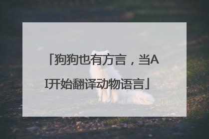 狗狗也有方言，当AI开始翻译动物语言