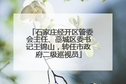 石家庄经开区管委会主任、藁城区委书记王锦山，转任市政府二级巡视员