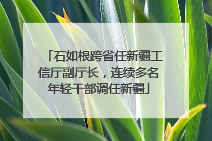 石如根跨省任新疆工信厅副厅长，连续多名年轻干部调任新疆