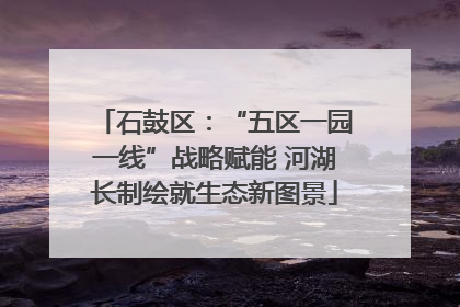 石鼓区：“五区一园一线”战略赋能 河湖长制绘就生态新图景