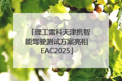 理工雷科天津携智能驾驶测试方案亮相EAC2025