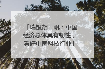 瑞银胡一帆：中国经济总体具有韧性，看好中国科技行业
