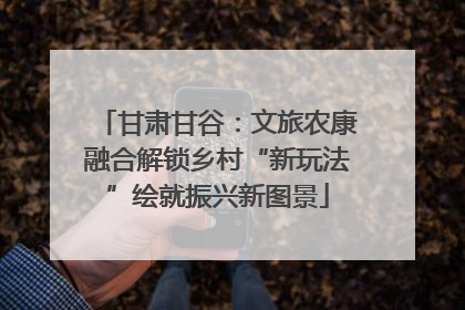 甘肃甘谷：文旅农康融合解锁乡村“新玩法”绘就振兴新图景
