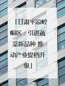 甘肃平凉崆峒区：引进蔬菜新品种 推动产业提档升级