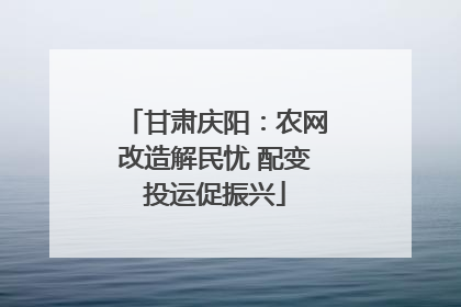 甘肃庆阳：农网改造解民忧 配变投运促振兴