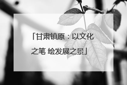 甘肃镇原：以文化之笔 绘发展之景