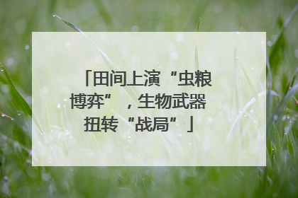 田间上演“虫粮博弈”，生物武器扭转“战局”