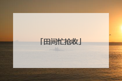 田间忙抢收