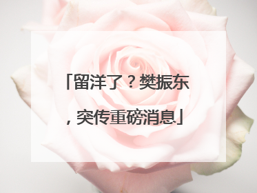 留洋了？樊振东，突传重磅消息