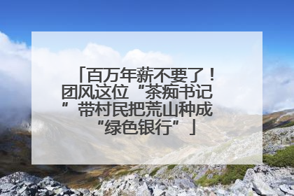 百万年薪不要了！团风这位“茶痴书记”带村民把荒山种成“绿色银行”