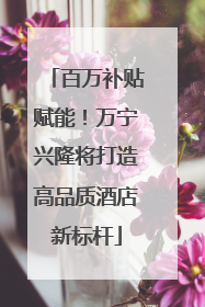百万补贴赋能！万宁兴隆将打造高品质酒店新标杆