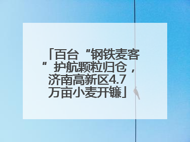 百台“钢铁麦客”护航颗粒归仓，济南高新区4.7万亩小麦开镰