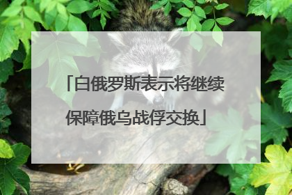 白俄罗斯表示将继续保障俄乌战俘交换