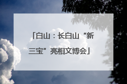 白山：长白山“新三宝”亮相文博会