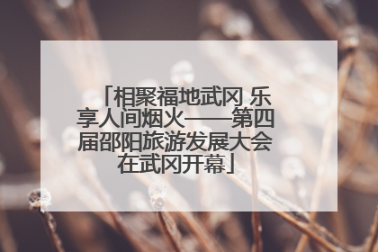 相聚福地武冈 乐享人间烟火——第四届邵阳旅游发展大会在武冈开幕