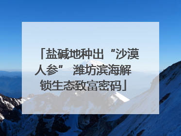 盐碱地种出“沙漠人参” 潍坊滨海解锁生态致富密码