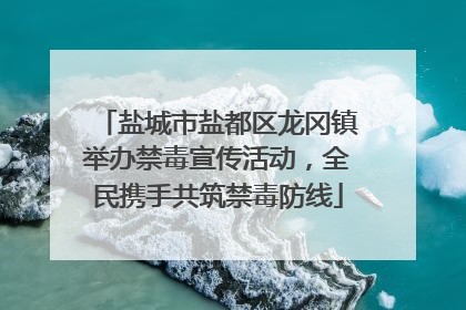 盐城市盐都区龙冈镇举办禁毒宣传活动，全民携手共筑禁毒防线