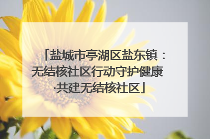 盐城市亭湖区盐东镇：无结核社区行动守护健康 ·共建无结核社区