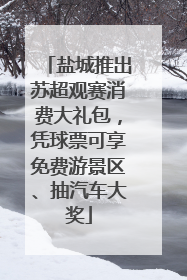 盐城推出苏超观赛消费大礼包，凭球票可享免费游景区、抽汽车大奖