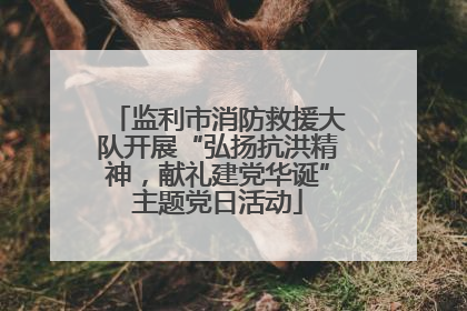 监利市消防救援大队开展“弘扬抗洪精神，献礼建党华诞”主题党日活动
