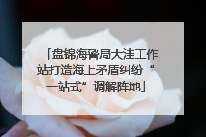 盘锦海警局大洼工作站打造海上矛盾纠纷“一站式”调解阵地