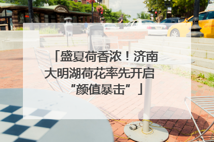 盛夏荷香浓！济南大明湖荷花率先开启“颜值暴击”