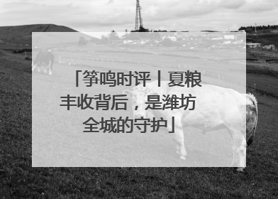 筝鸣时评丨夏粮丰收背后，是潍坊全城的守护