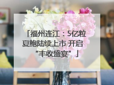 福州连江：5亿粒夏鲍陆续上市 开启“丰收盛宴”