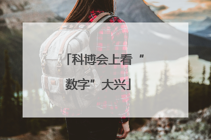 科博会上看“数字”大兴