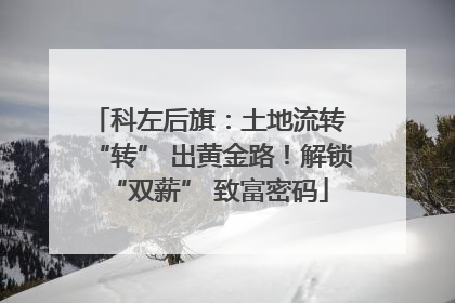 科左后旗：土地流转 “转” 出黄金路！解锁 “双薪” 致富密码