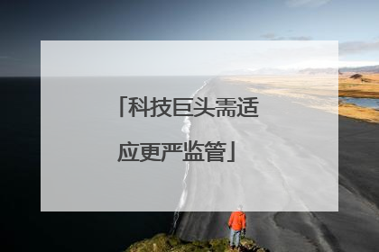 科技巨头需适应更严监管