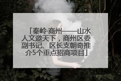 秦岭·商州——山水人文邀天下，商州区委副书记、区长支朝奇推介5个重点招商项目