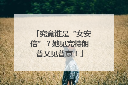 究竟谁是“女安倍”？她见完特朗普又见普京！