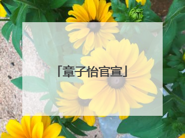 章子怡官宣