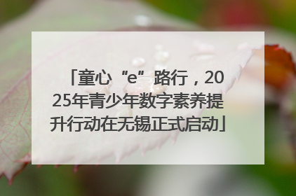童心“e”路行，2025年青少年数字素养提升行动在无锡正式启动