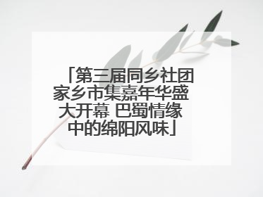 第三届同乡社团家乡市集嘉年华盛大开幕 巴蜀情缘中的绵阳风味