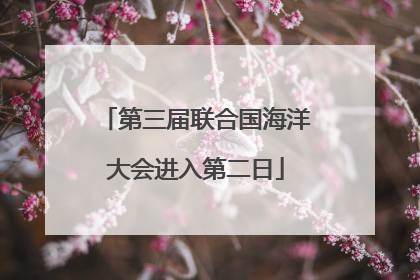 第三届联合国海洋大会进入第二日