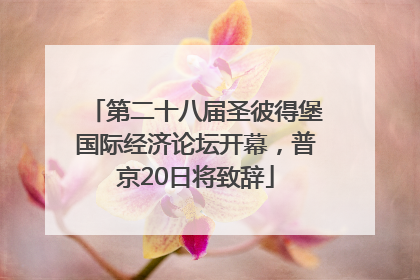 第二十八届圣彼得堡国际经济论坛开幕，普京20日将致辞