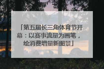 第五届长三角体育节开幕：以赛事流量为画笔，绘消费增量新图景