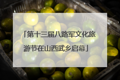 第十三届八路军文化旅游节在山西武乡启幕