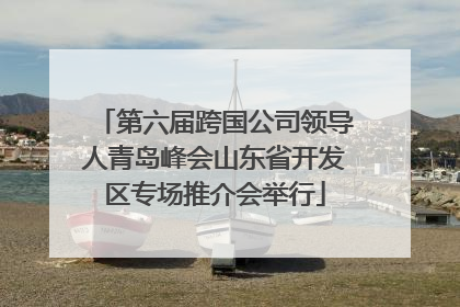 第六届跨国公司领导人青岛峰会山东省开发区专场推介会举行