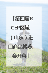 第四届RCEP区域（山东）进口商品博览会开幕