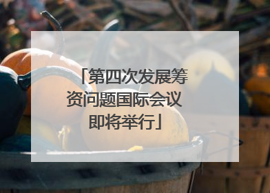 第四次发展筹资问题国际会议即将举行