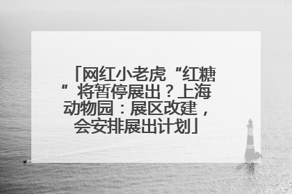 网红小老虎“红糖”将暂停展出？上海动物园：展区改建，会安排展出计划