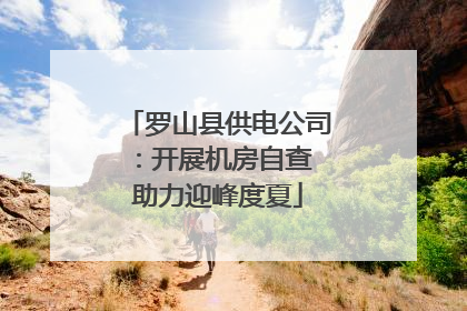 罗山县供电公司：开展机房自查 助力迎峰度夏