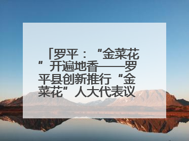 罗平：“金菜花”开遍地香——罗平县创新推行“金菜花”人大代表议事会履职行动