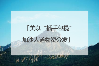美以“插手包揽”加沙人道物资分发